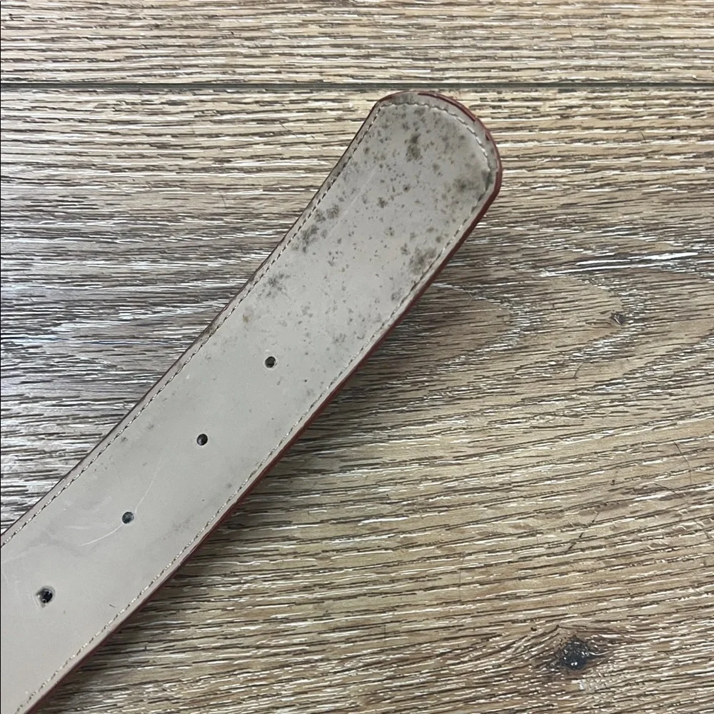 NWT Vintage Milor Brown Reptile Print Belt w/Goldtone Buckle M/L